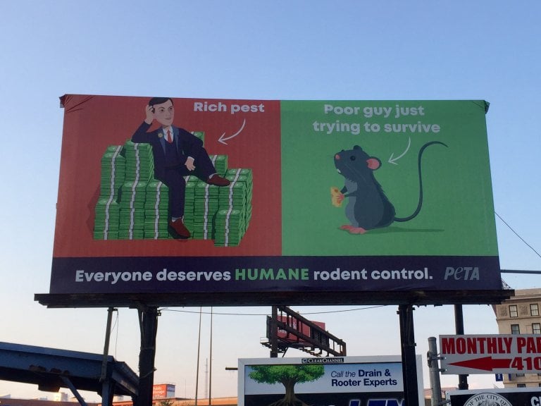 These PETA Billboard Ads Broke the in 2019