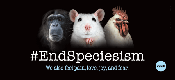 Quick Actions for 'World Day for the End of Speciesism' | PETA