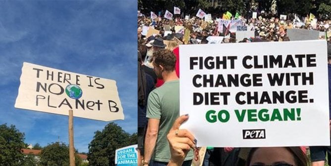 signs from worldwide climate march say "there is no planet b" and "fight climate change with diet change."