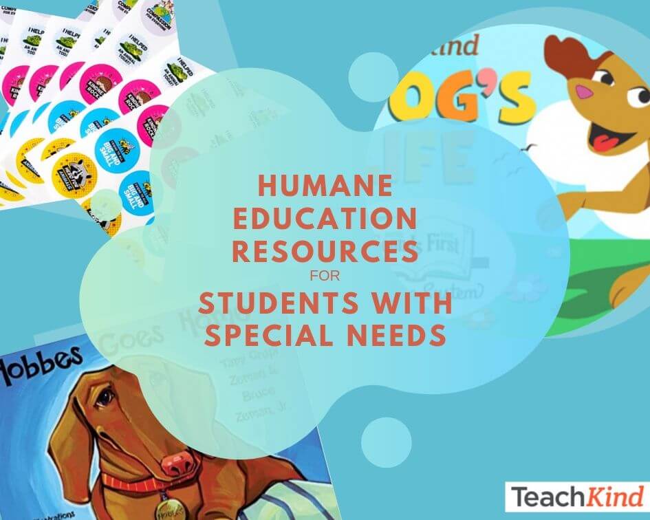 5º - Teaching resources