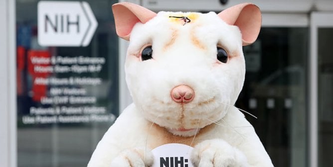 Mouse mascot in front of NIH building