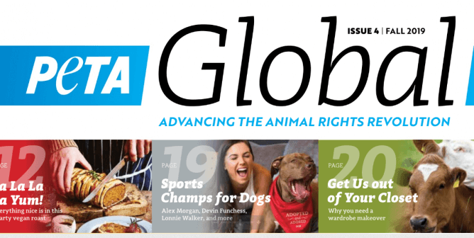 The Animal Rights Magazine - PETA Global