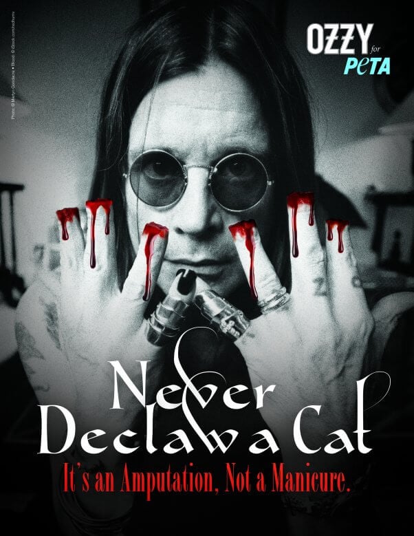 Ozzy Osbourne PETA Ad Never Declaw A Cat