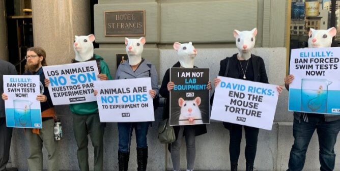 PETA Mice Protest Eli Lilly CEO Over Forced Swim Test