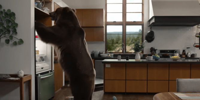 screenshot of bear in GEICO's Man Cave commercial