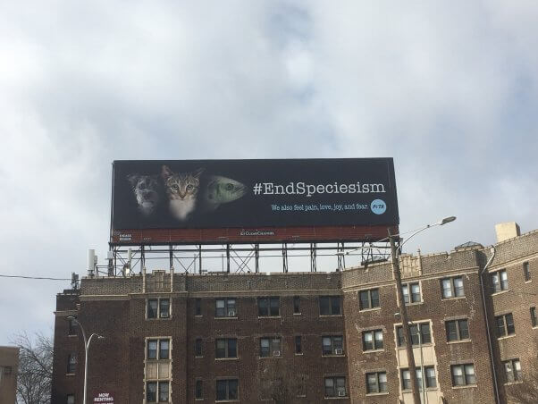 PETA End Speciesism Billboard in Upper Darby