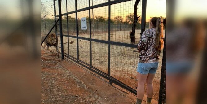Young Woman Mauled by Lions at Game Reserve