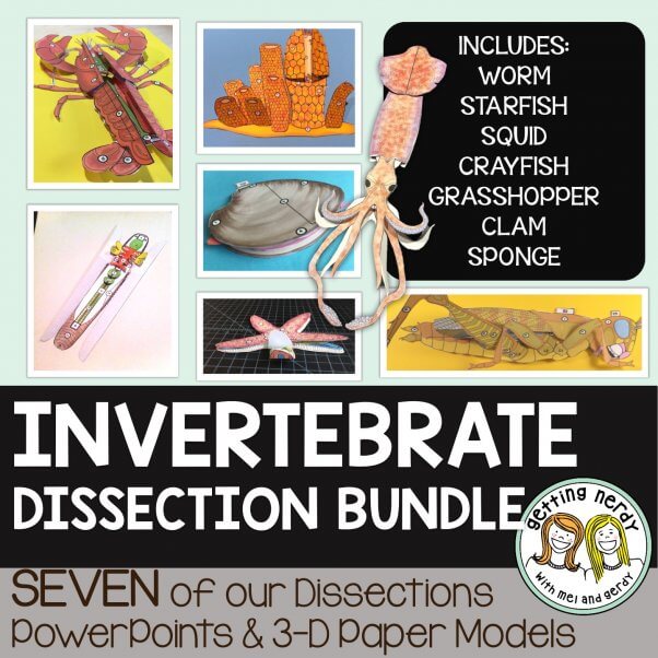 Parents: Digital Dissection for Home Learning | PETA