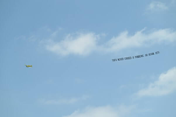 go vegan plane banner from peta flies over fort lauderdale florida
