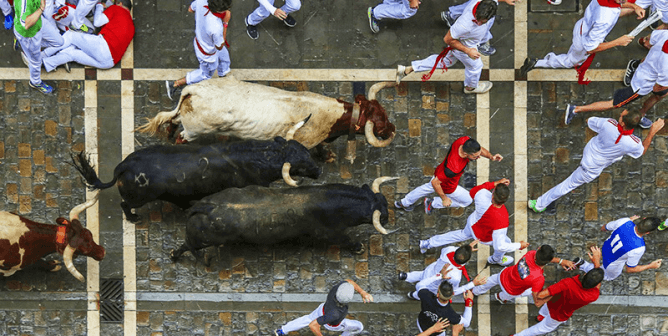 bull run in pamplona