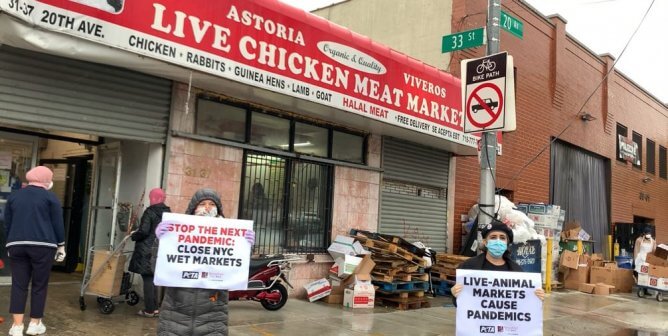 New York City Live-animal market demo