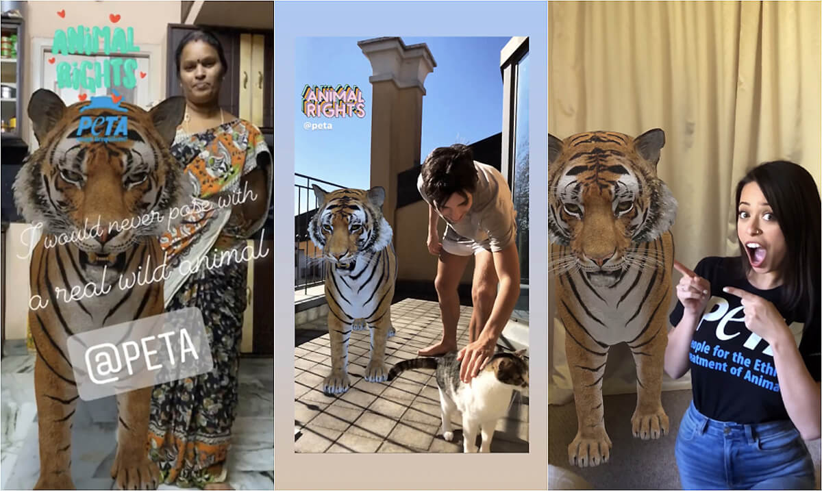 24+ Google 3d animals tiger camera information