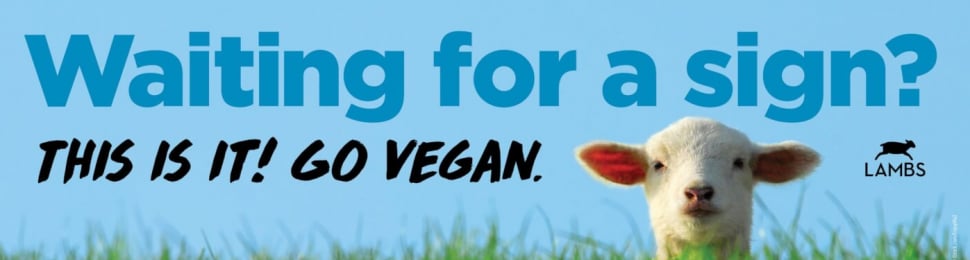 Waiting for a Sign? This is It! Go Vegan LAMBS BB image
