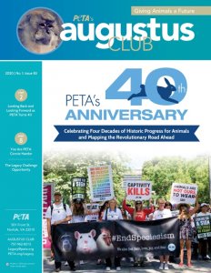 Augustus Club Issue 83