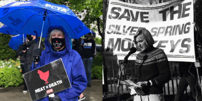 Ingrid Newkirk protest present and past