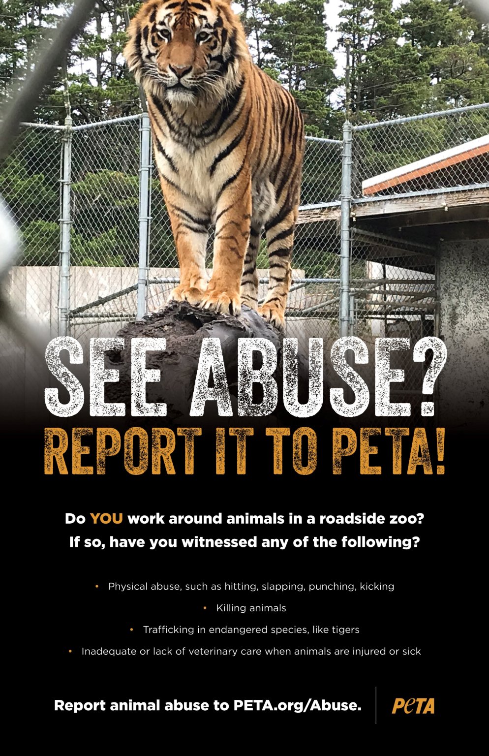 Roadside Zoo Whistleblowers Asked to Come Forward | PETA