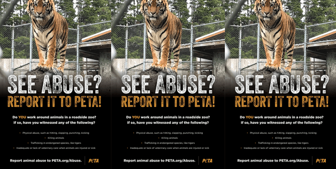 See Abuse? Report it to PETA Ad