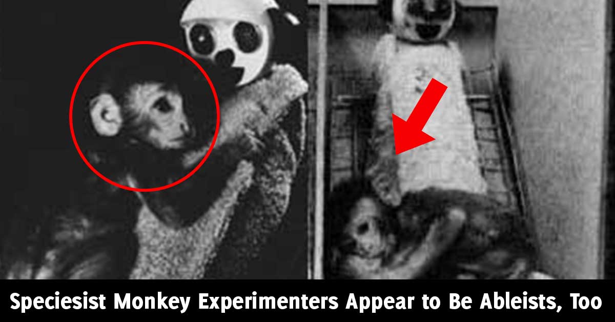 99th monkey experiment