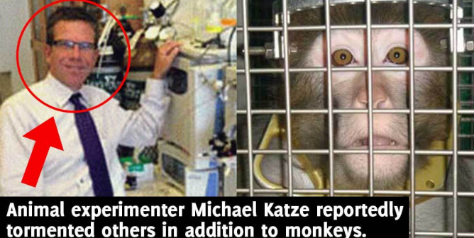 Michael Katze and monkey in a cage