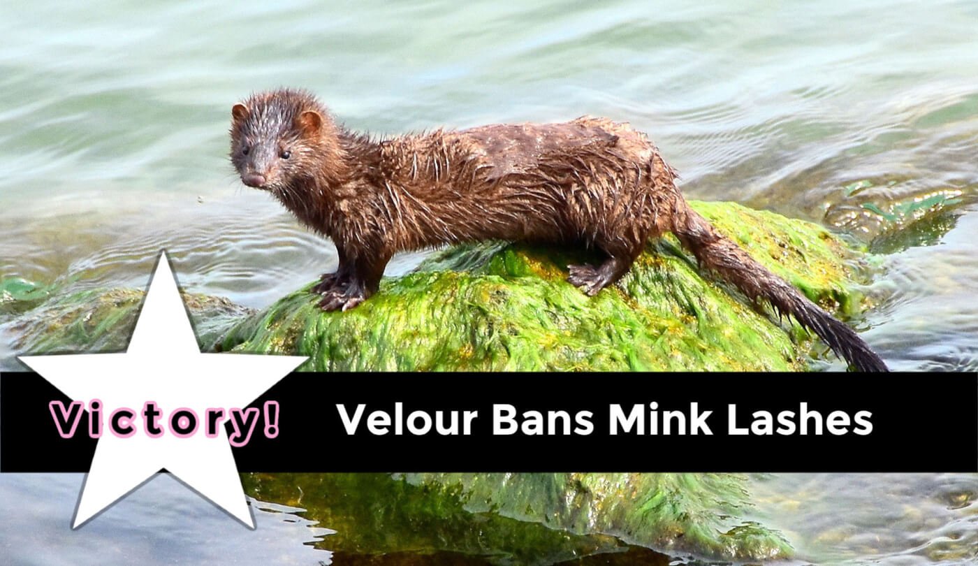 Mink Fur – Marie Minks