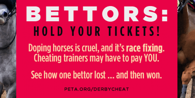Medina Spirit Scandal and Death Prompt PETA to say, Bettors Hold Your Tickets