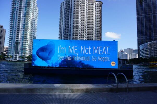 I'm Me Not Meat Ad on a Boat