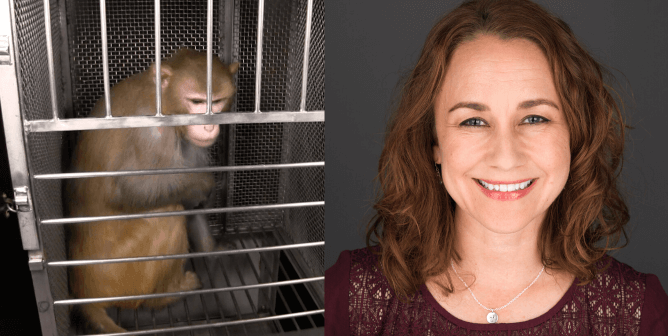 NIH laboratory with monkey in cage, Ingrid Taylor