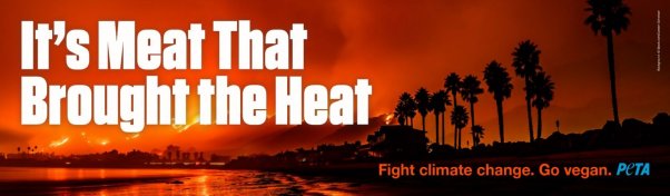 It's Meat That Brought The Heat Ad california fires