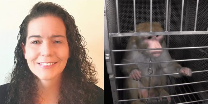 peta neuroscientist dr katherine roe slams elisabeth murray monkey fright night experiments