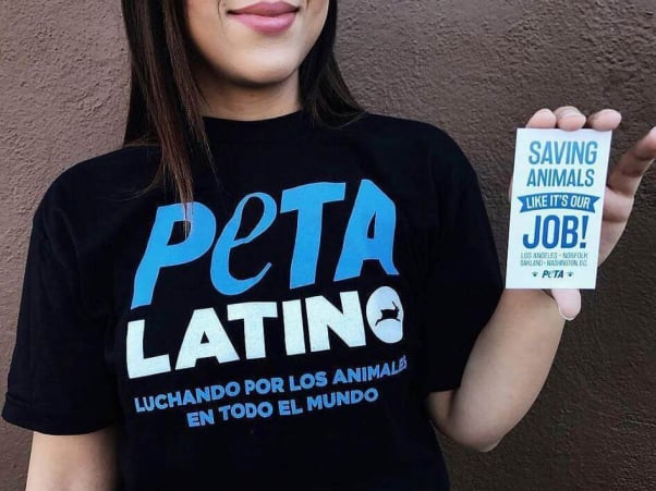 PETA Latino shirt and sticker