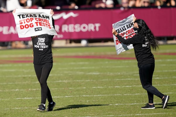 Activists Arrested, Dragged Off Field Protesting TAMU Dog Experiments