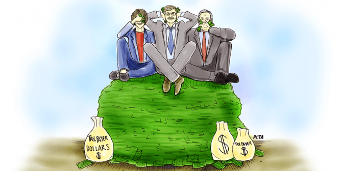 NIH directors sitting on top of taxpayer money
