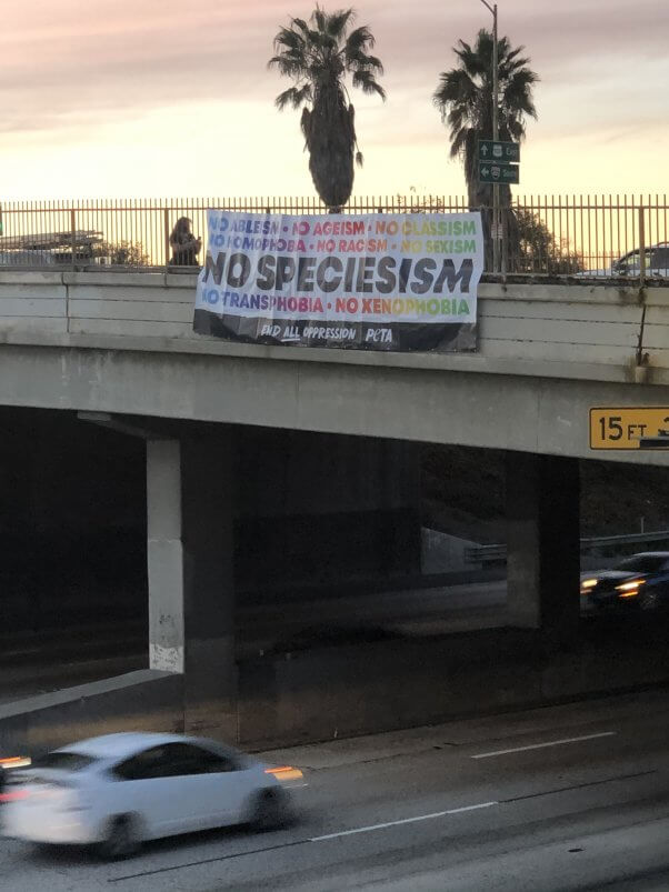 Los Angeles "no speciesism" banner drop