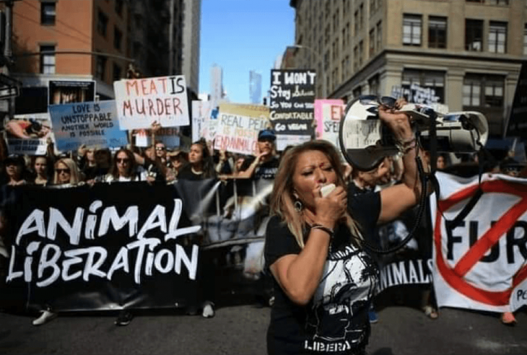 PETA Names Top Animal Rights Activists of 2020 | PETA