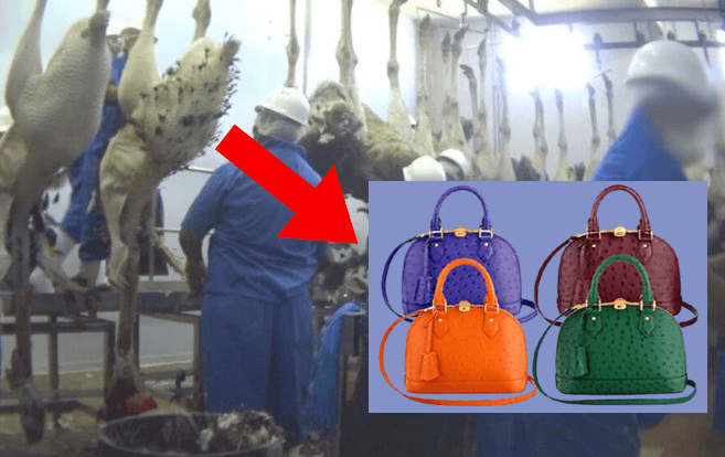 Louis Vuitton BANNED all customers from buying this bag