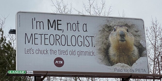 PETA Punxsutawney Groundhog Meteorologist billboard