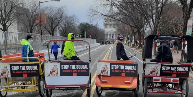 biden inauguration PETA Stop the Squeal bike ads - Washington DC