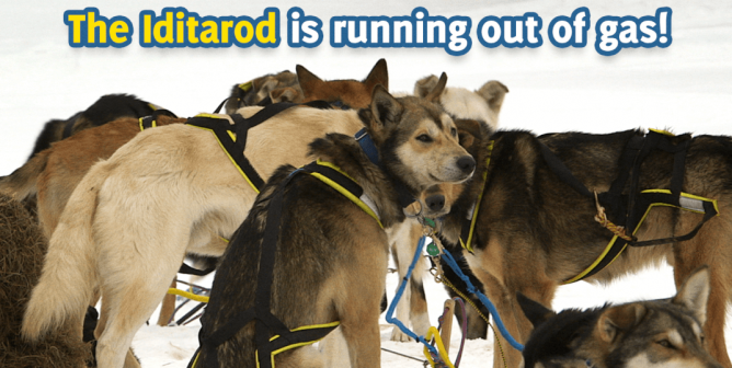 ExxonMobil to Drop Iditarod After Massive PETA Campaign