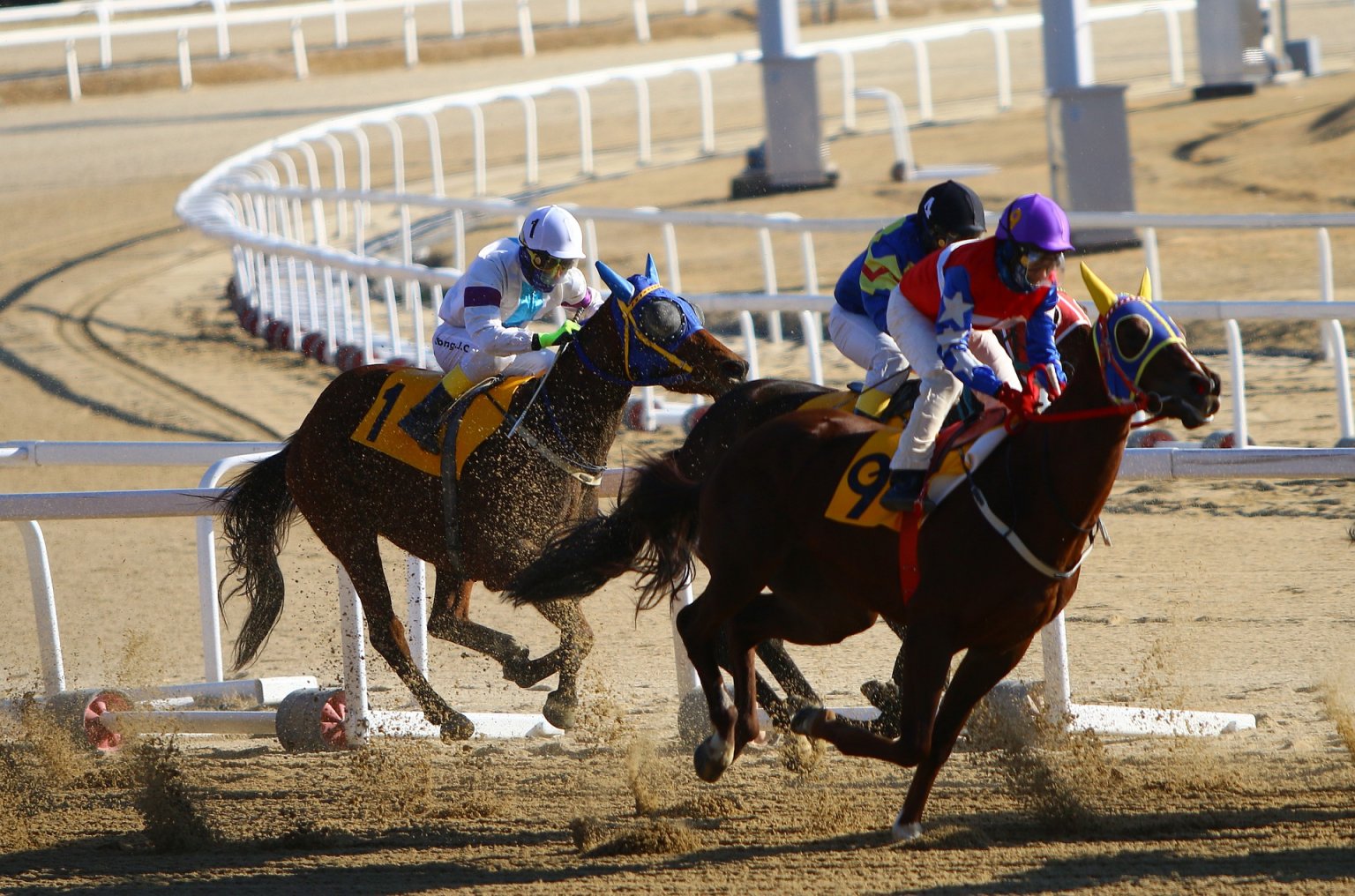 PETA Billboard Urges ‘Moral Distancing’ From Kentucky Derby