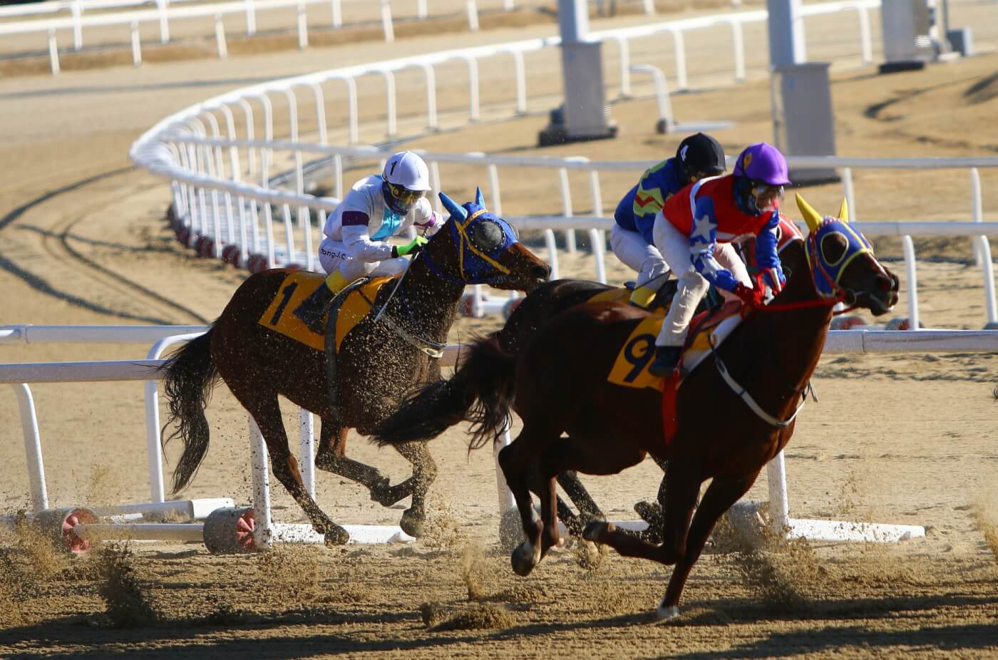 horse race dirt track