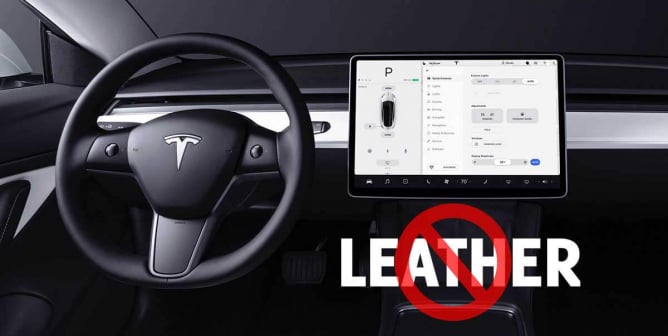 vegan car interiors, including Tesla's