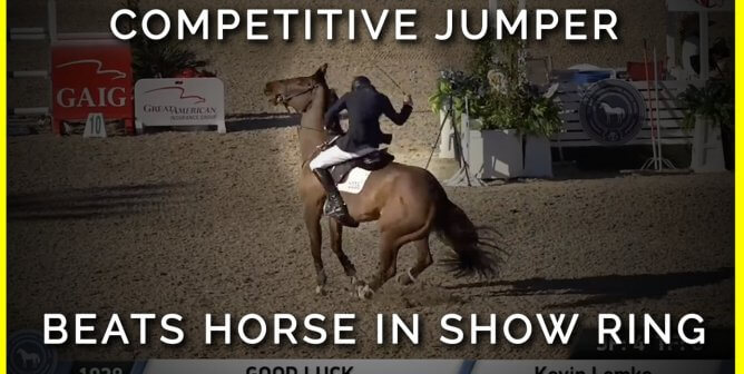 kevin lemke beats horse in show ring on video
