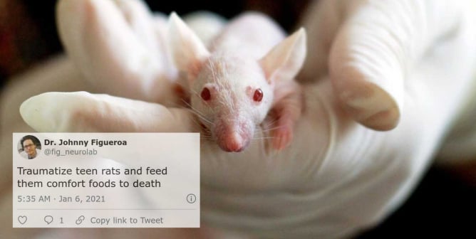 Animal Experimenters Roast Themselves on Twitter