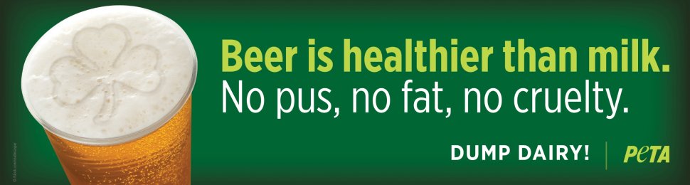 Beer is healthier than milk