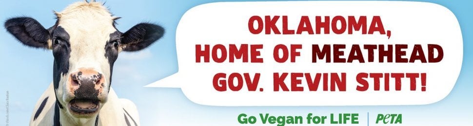Oklahoma, Home of Meathead Governor Kevin Stitt