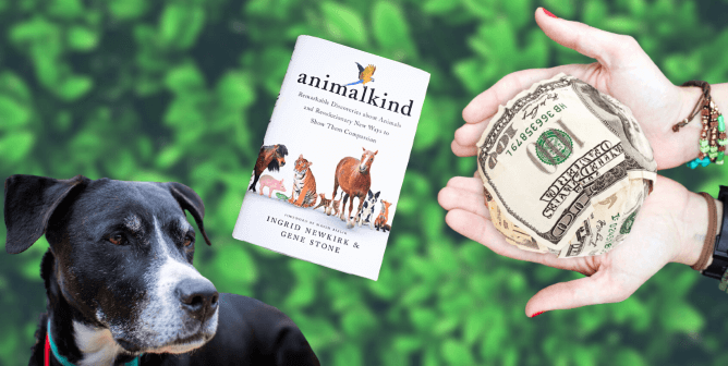 Dog, animalkind book, hand holding money