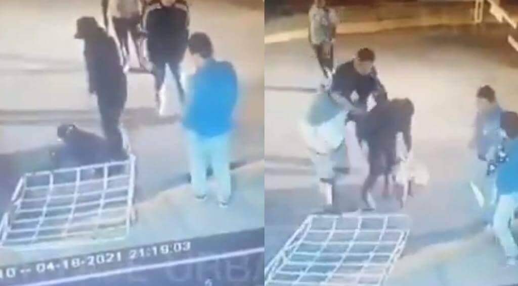 Caught on Camera: Men Stab Dog 18 Times in Mexico | PETA