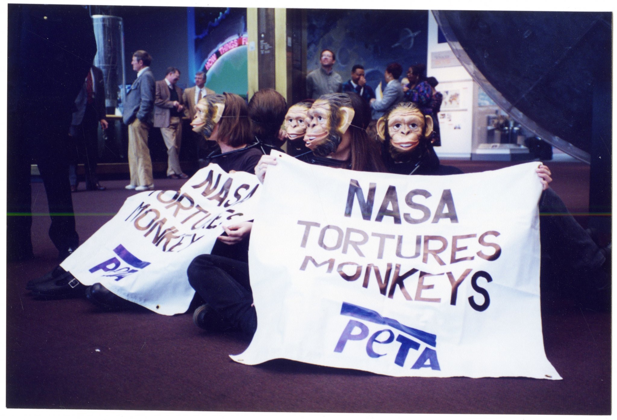 5 Twisted Animal Experiments That PETA Has Stopped