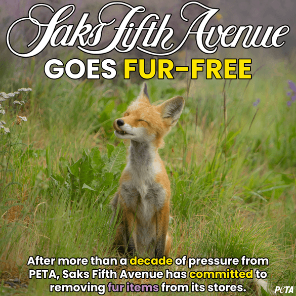 Saks Fifth Avenue is removing fur from all its Toronto stores
