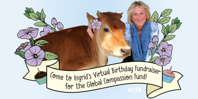 Ingrid's Virtual Birthday Fundraiser for GCF